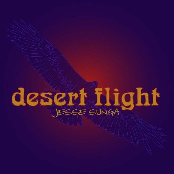 Cover art for Desert Flight